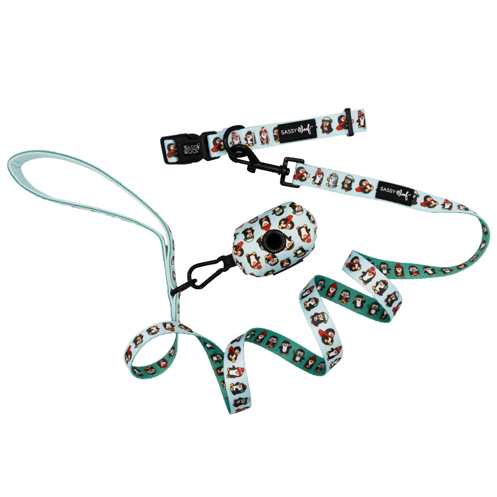 Dog Three Piece Bundle - Winter Waddleland