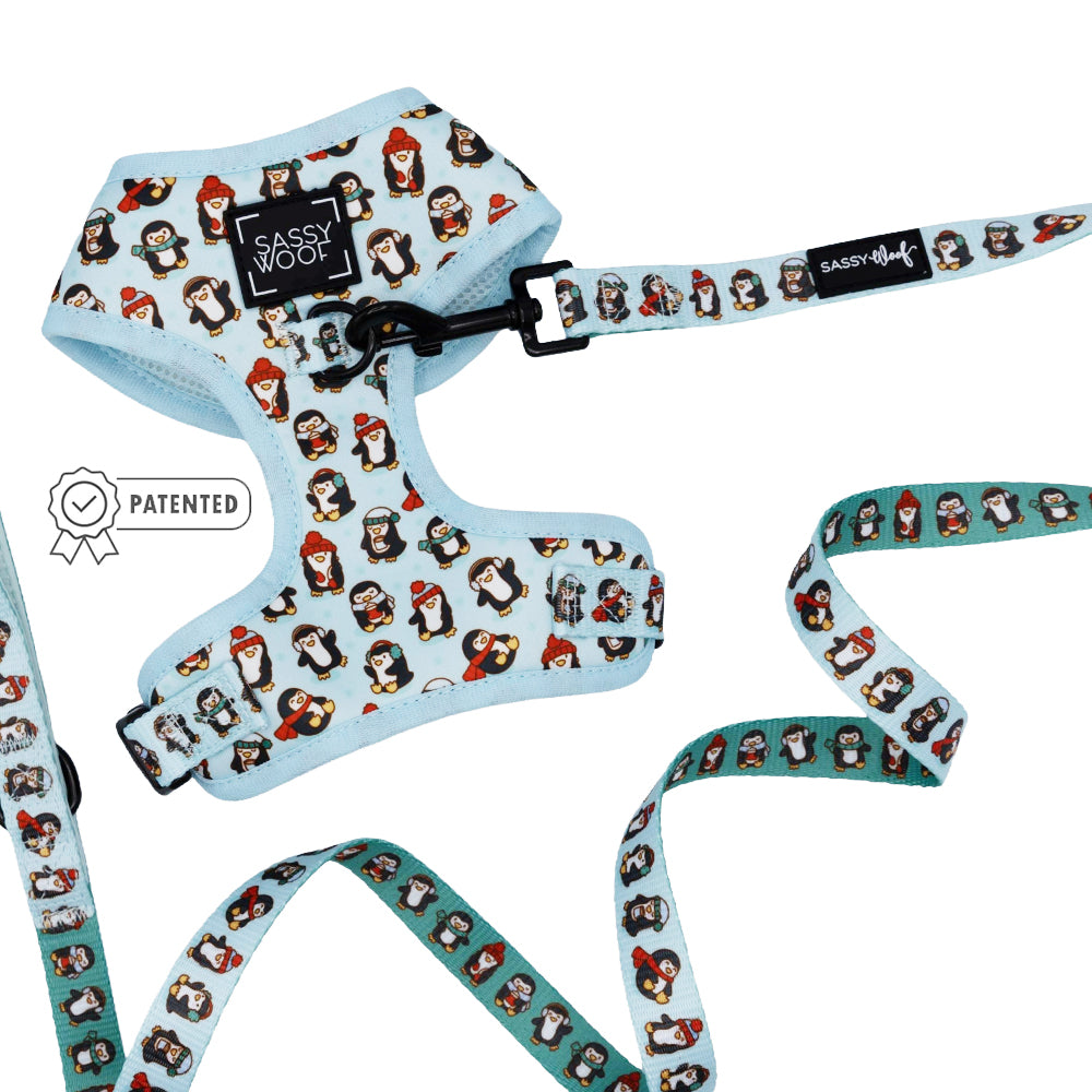 Dog Two Piece Bundle - Winter Waddleland