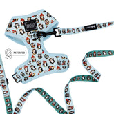 Dog Two Piece Bundle - Winter Waddleland