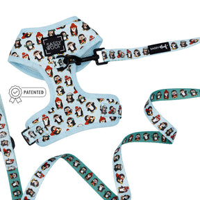 Dog Two Piece Bundle - Winter Waddleland
