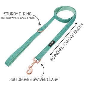 Collar Three Piece Bundle - Wag Your Teal