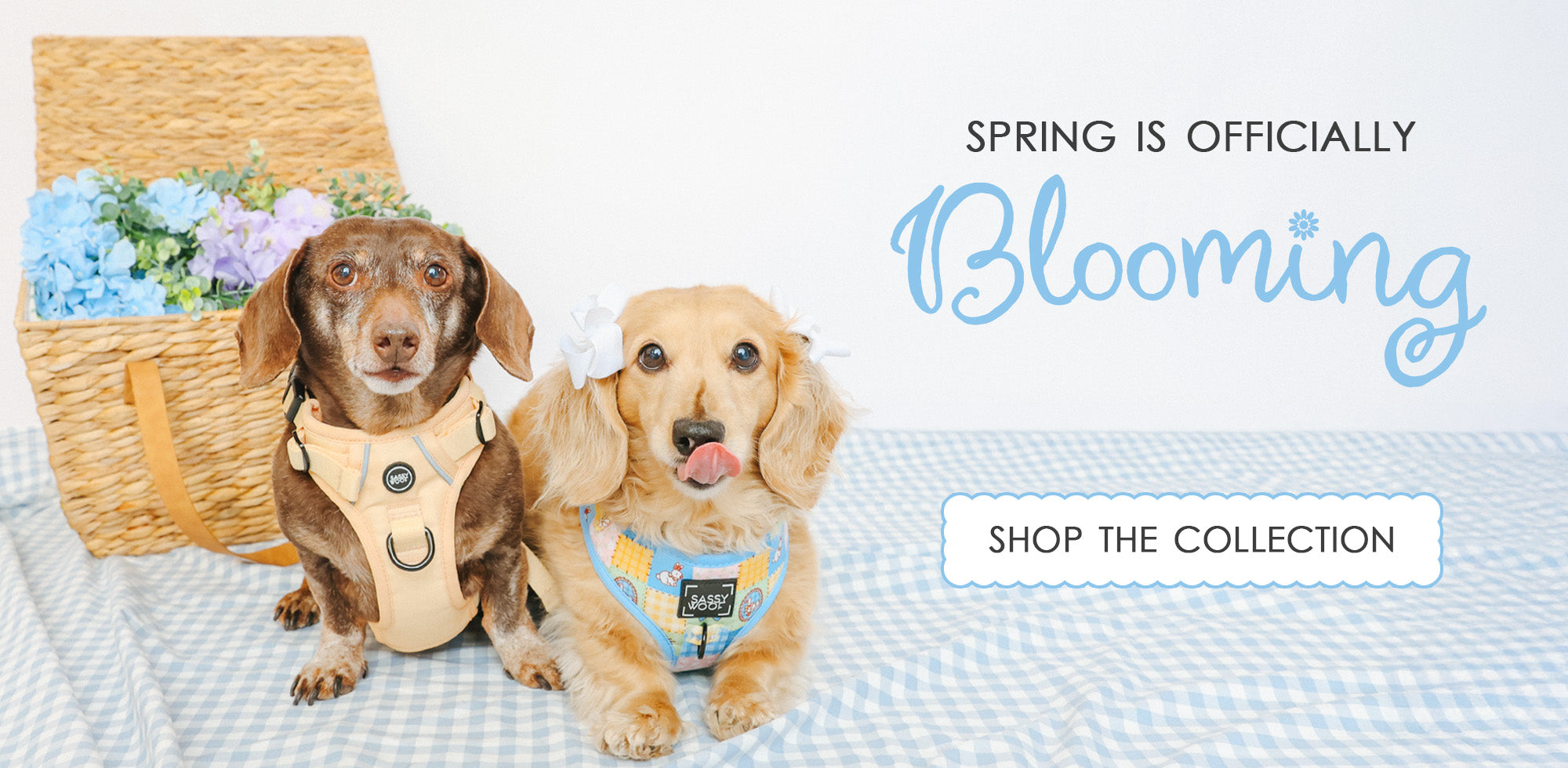 Spring is officially blooming. Click anywhere to shop the collection. 
