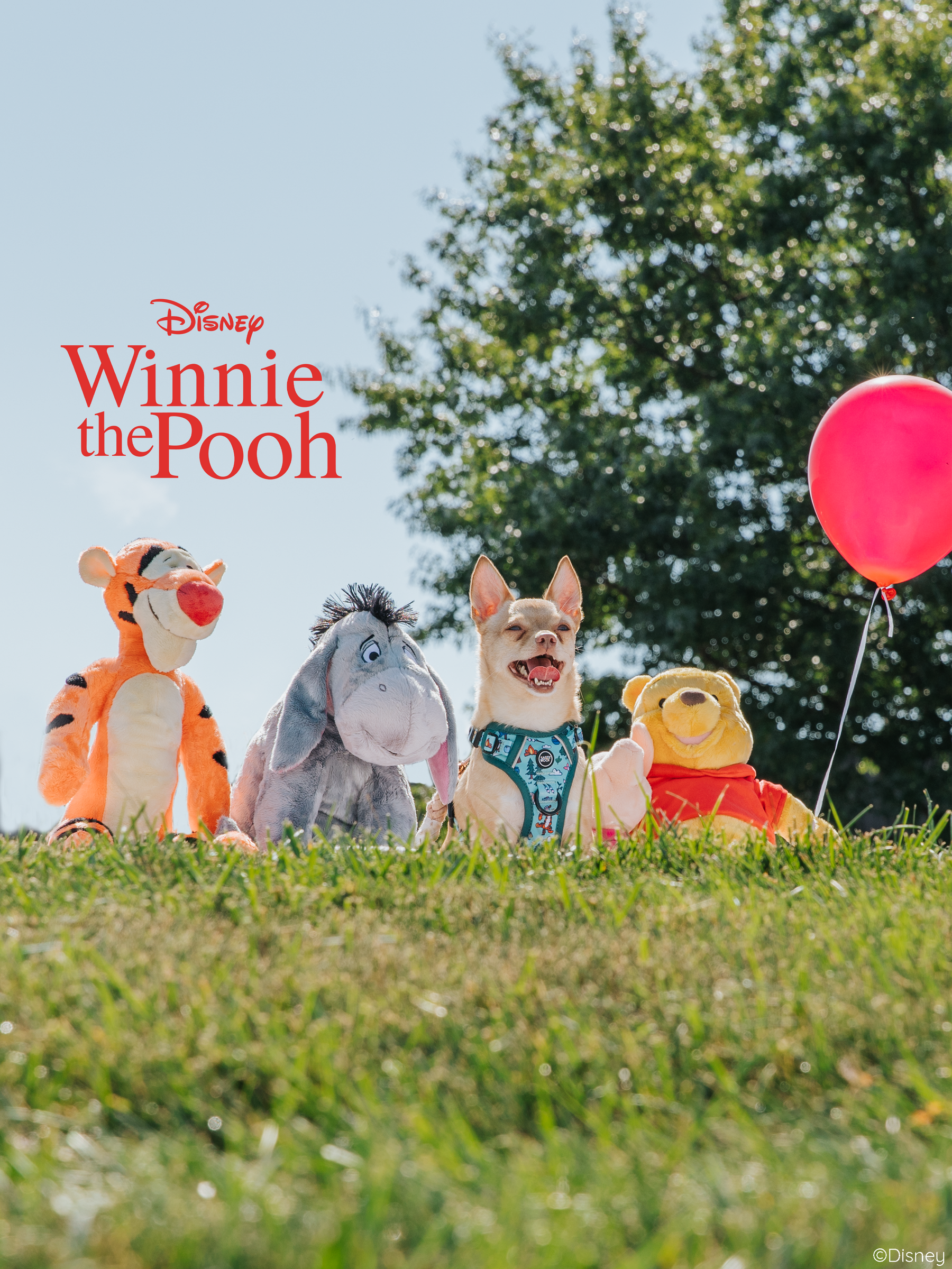 Tigger, Eeyore, a small dog in an adjustable harness, and Winnie the Pooh sit on grass beneath a blue sky with a red balloon and tree behind them. "Disney Winnie the Pooh" is written in red. Product: Sassy Woof Dog Leash - Disney's Winnie the Pooh.