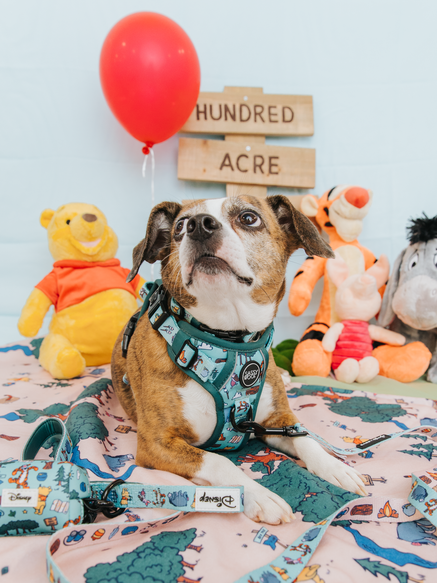 Dog Two Piece Bundle - Disney's Winnie the Pooh