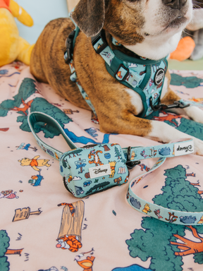 A dog in a teal harness with Disney Hundred Acre Wood characters rests on a pink Winnie the Pooh blanket. Up front is a Sassy Woof Dog Waste Bag Holder featuring Disney's Winnie the Pooh, along with a matching teal leash set.