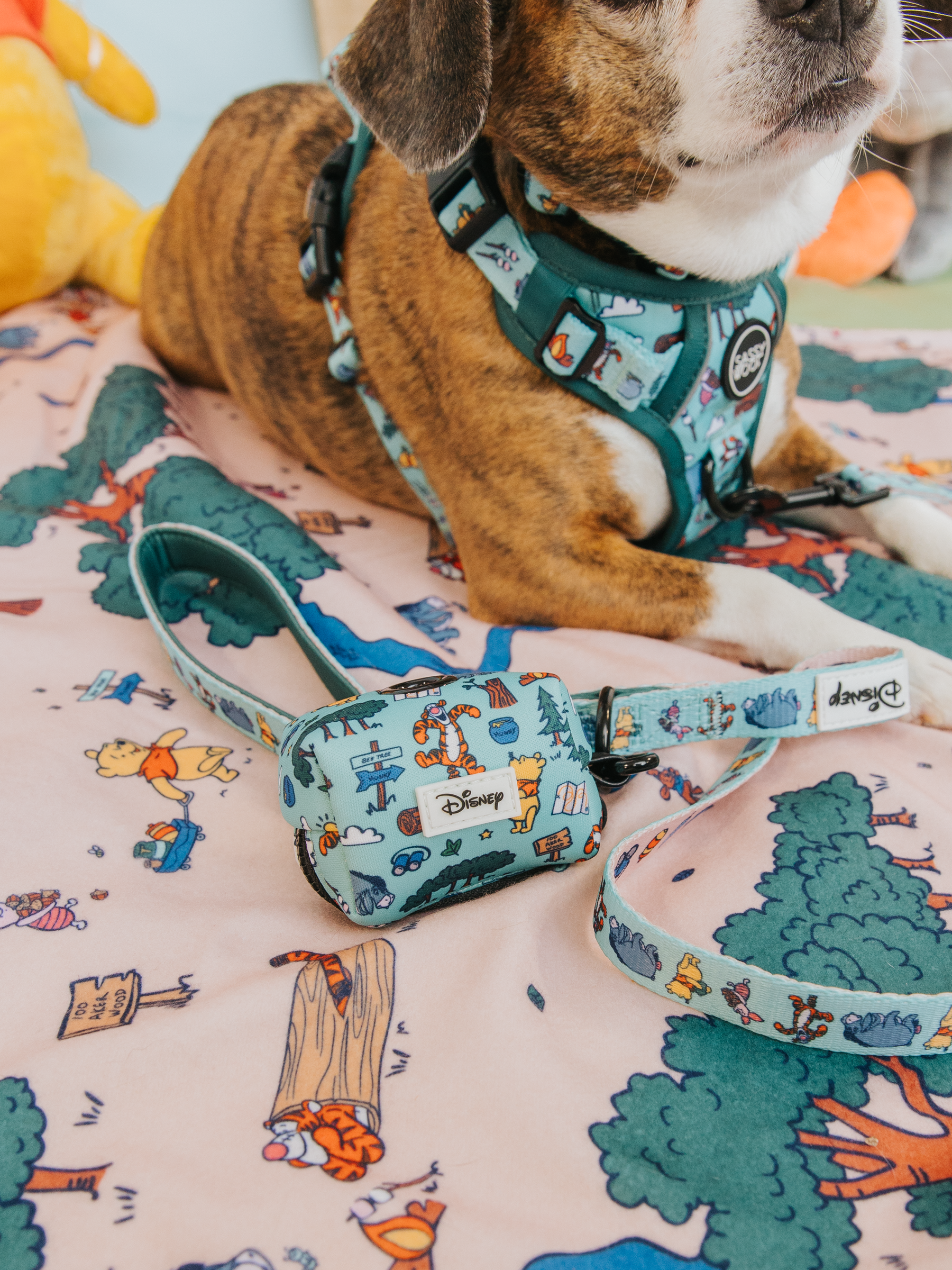 A dog relaxes on the Sassy Woof Pet Blanket – Disney's Winnie the Pooh, with a teal harness and matching accessory pouch, both adorned with Disney Hundred Acre Wood designs.