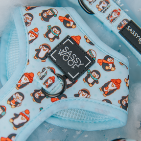 Dog Two Piece Bundle - Winter Waddleland