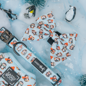 Dog Collar - Winter Waddleland