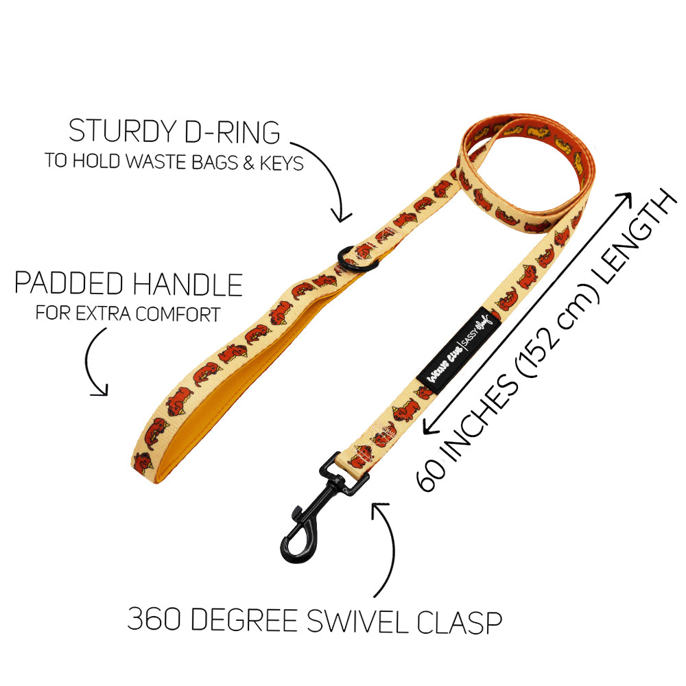 The Sassy Woof Dog Three Piece Bundle - Hot Dawg includes a colorful print leash with a sturdy D-ring, padded handle, 60-inch length, and 360° swivel clasp—perfect for matching with your favorite dachshund collar.