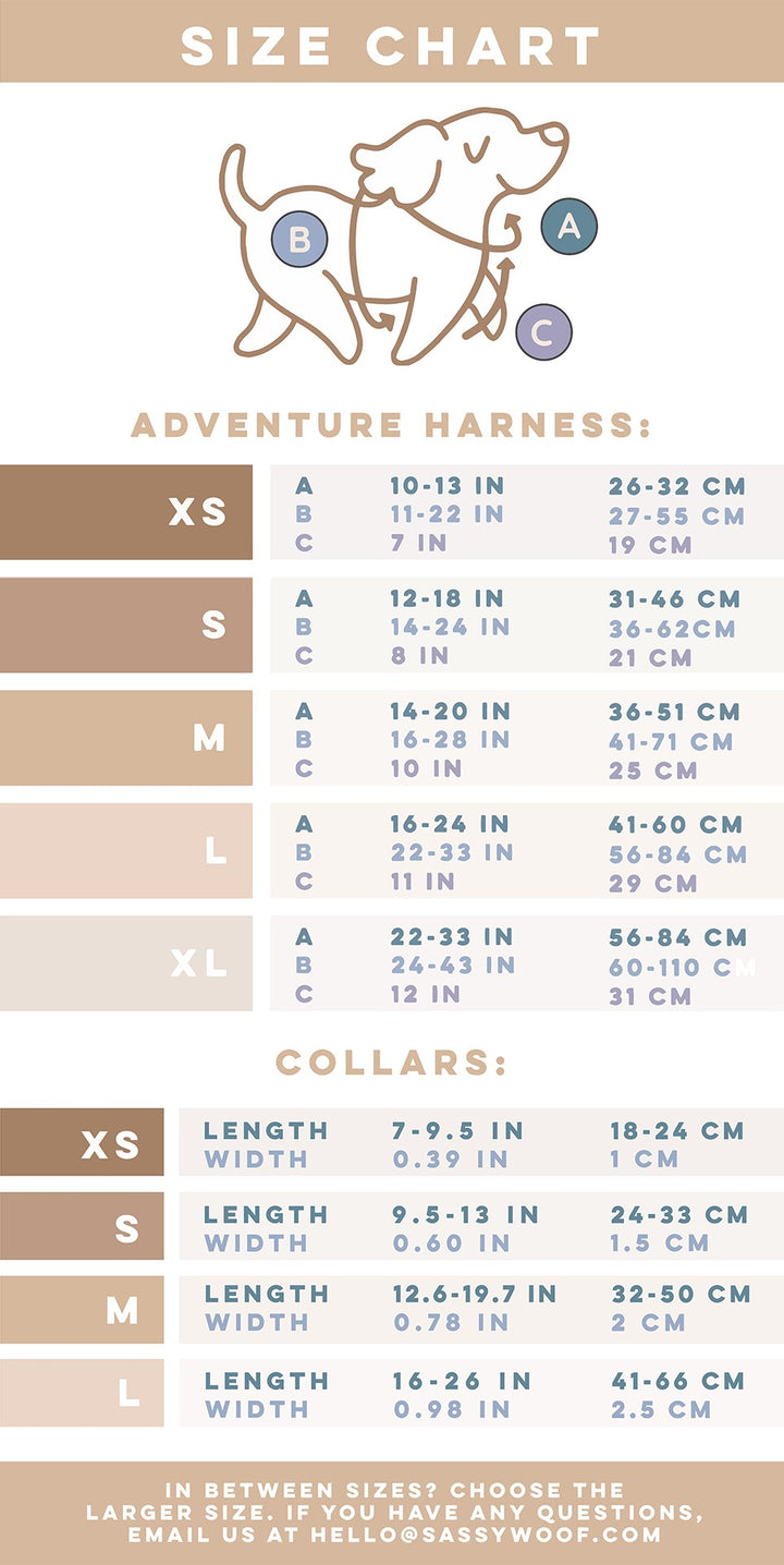 Size chart for dog harnesses and collars with labeled measurements (A, B, C) shown on a cartoon dog. Includes sizes XS to XL for harnesses and XS to L for collars, with corresponding length and width in inches and cm.