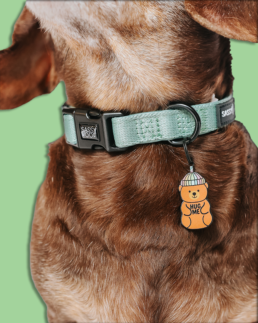 Close-up of a brown dog’s neck wearing a light green Sassy Woof collar with the Dog Collar Tag - Hug Me Bear, an orange bear-shaped charm by Sassy Woof. The background is solid green.