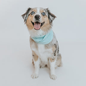INFLUENCER_CONTENT | @LILYTHEMINIAUSSIE| SIZE L