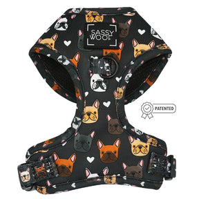 Dog Four Piece Bundle - Fab Frenchies