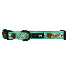 Dog Collar - Glam Goldens