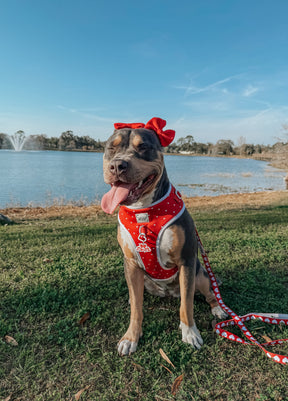 INFLUENCER_CONTENT | @THEBULLYGIRLS | SIZE L