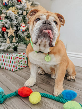 INFLUENCER_CONTENT | @BUZZ.VENTURES | SIZE L