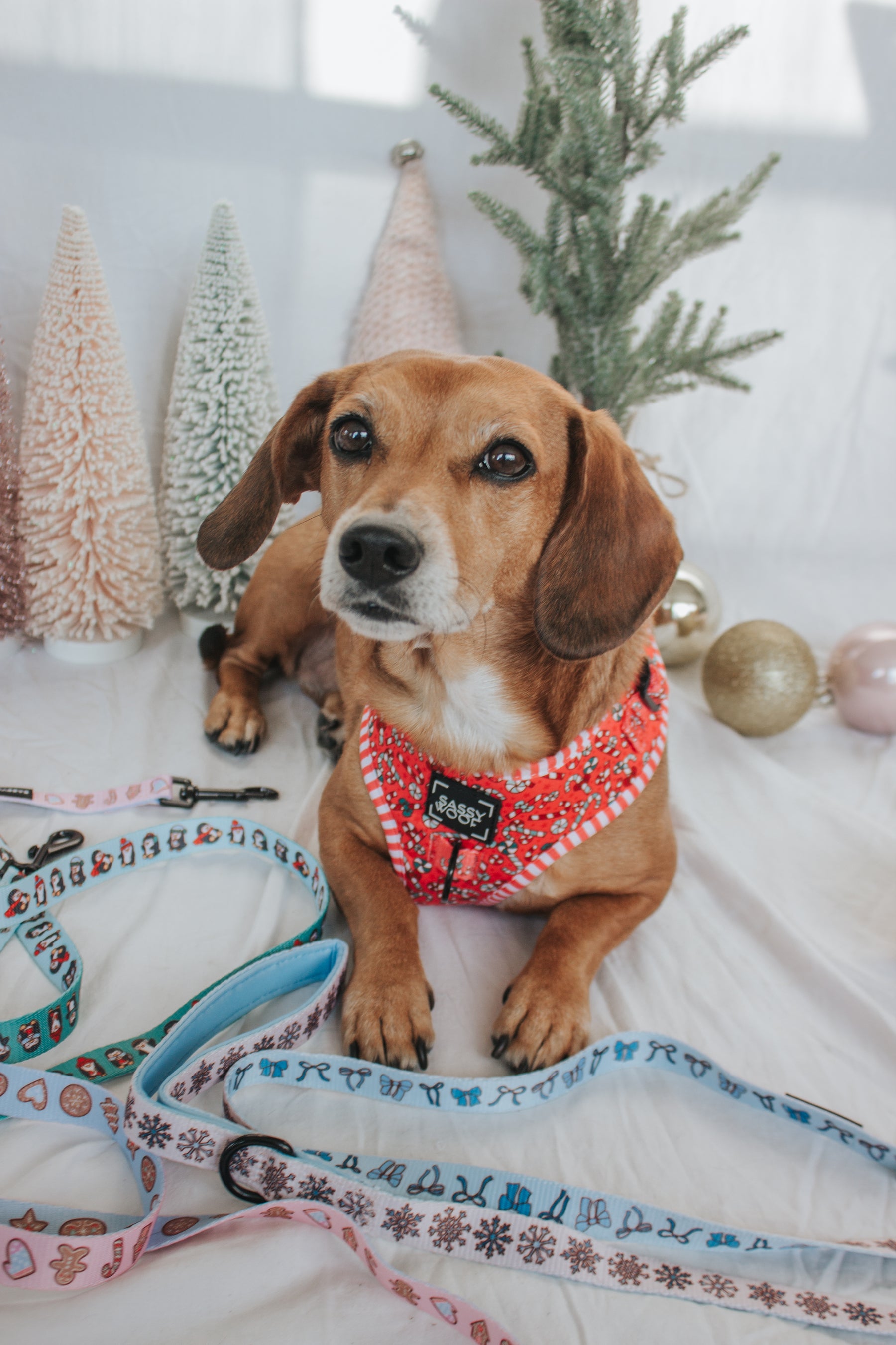 INFLUENCER_CONTENT | @CALLIETHESAUSAGE | SIZE XS