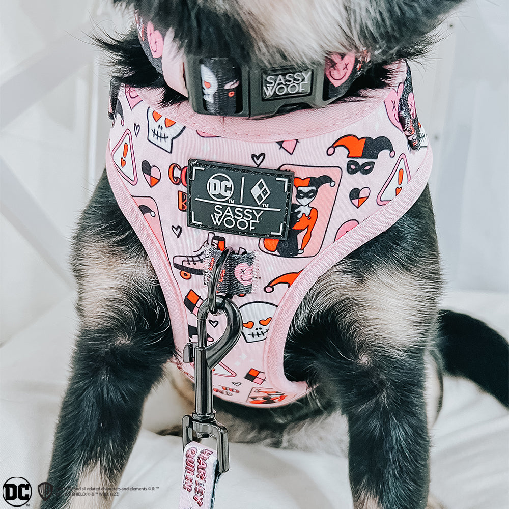 INFLUENCER_CONTENT | @CHAITOTHERESCUE | SIZE M