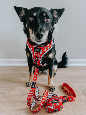 INFLUENCER_CONTENT | @CHAITOTHERESCUE | SIZE M