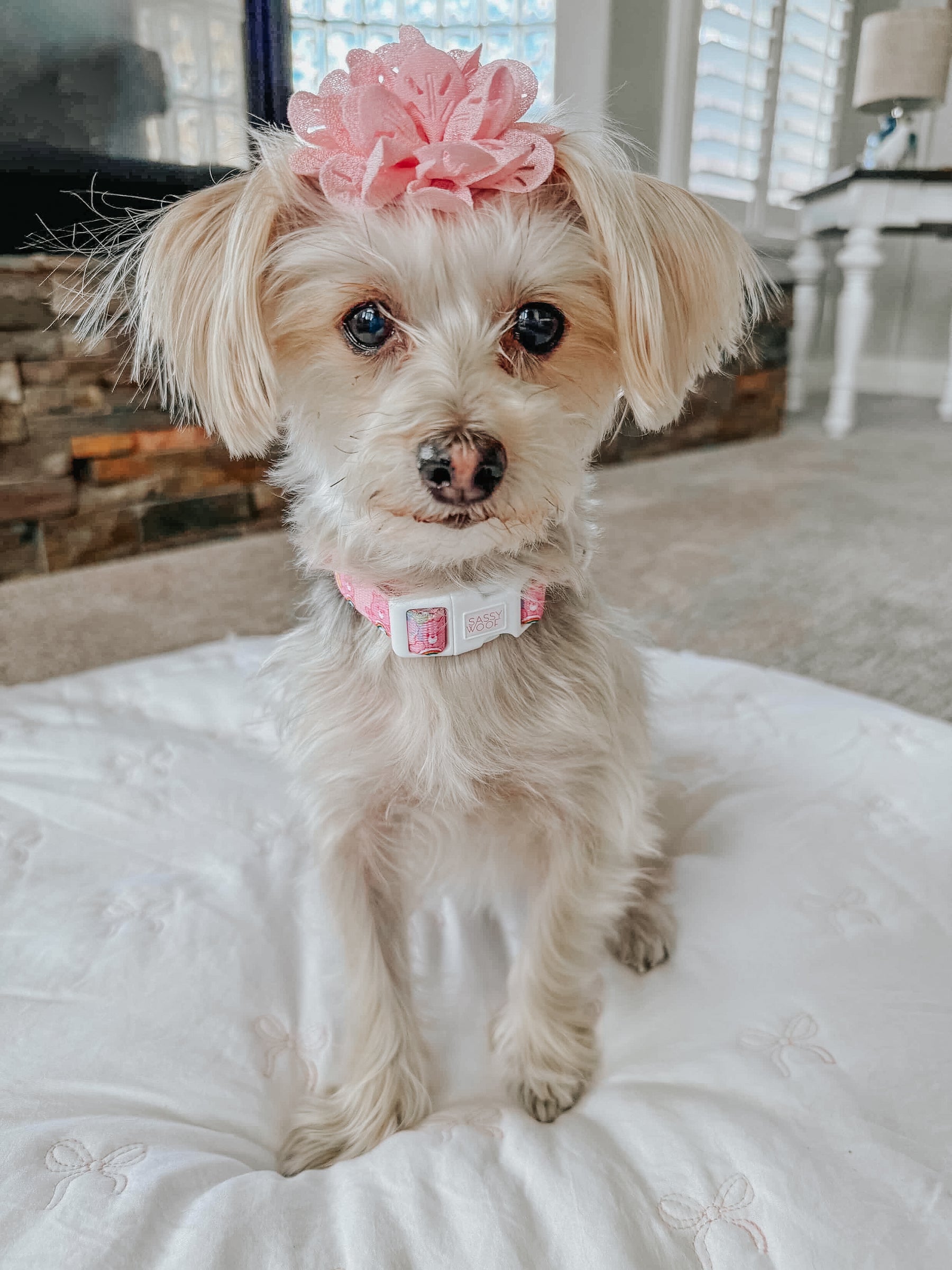 INFLUENCER_CONTENT | @PRINCESS_PANDORA2016 | SIZE S