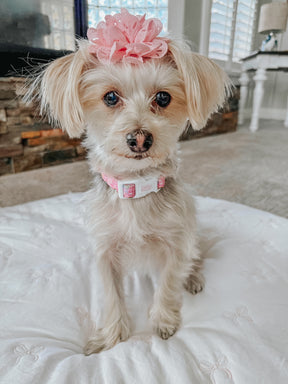 INFLUENCER_CONTENT | @PRINCESS_PANDORA2016 | SIZE S