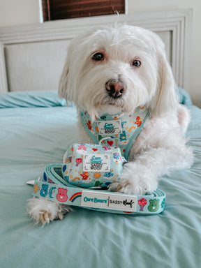 INFLUENCER_CONTENT | @CHLOE_THE_MALTIPOO22 | SIZE S