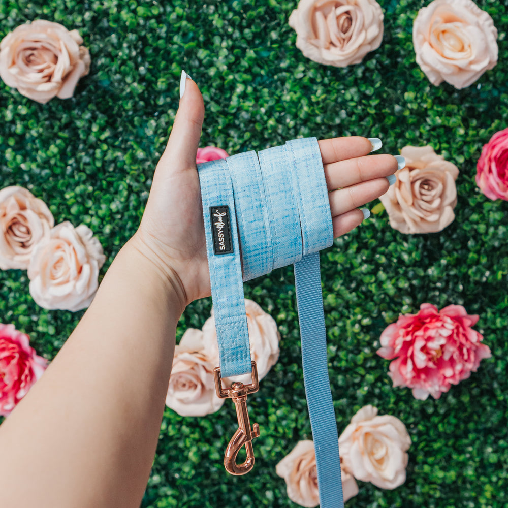 Dog Leash Blumond (Rose Gold Hardware) Sassy Woof Product