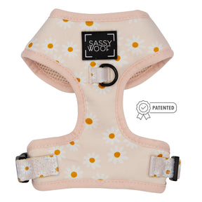 Dog Two Piece Bundle - Dainty Daisy