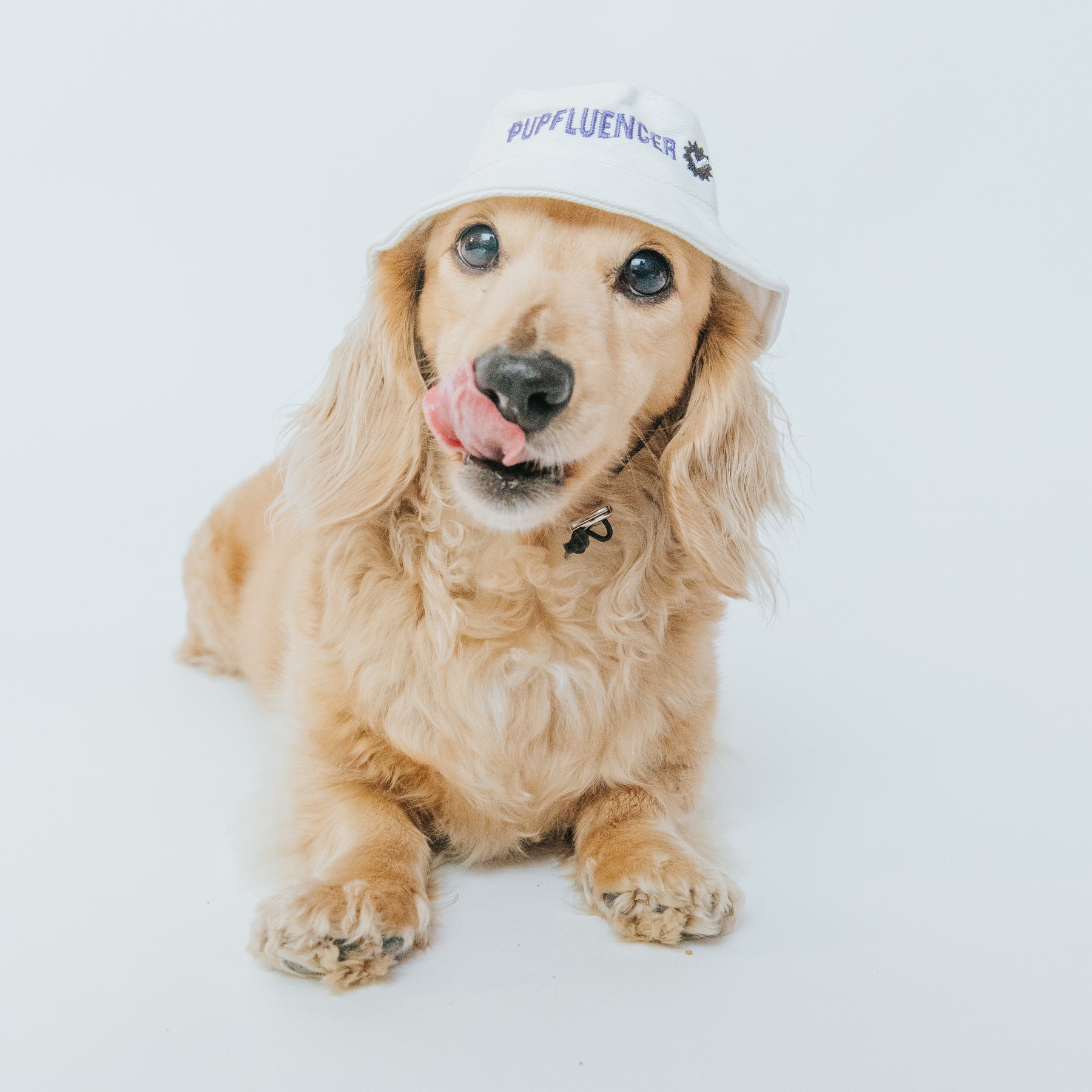 Dog Bucket Hat - Pupfluencer