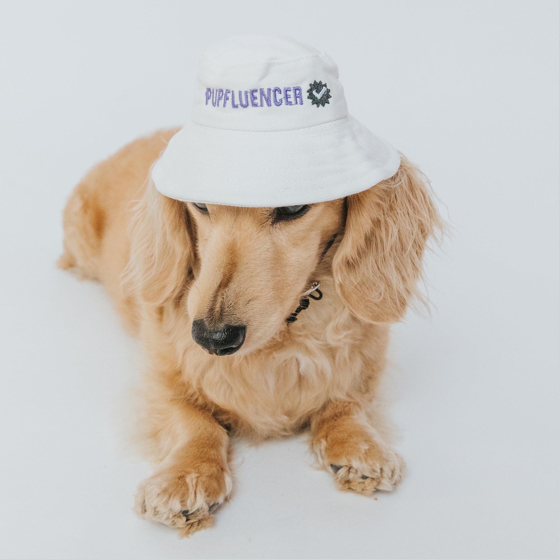 Bucket Hat Bundle - Momager + Pupfluencer