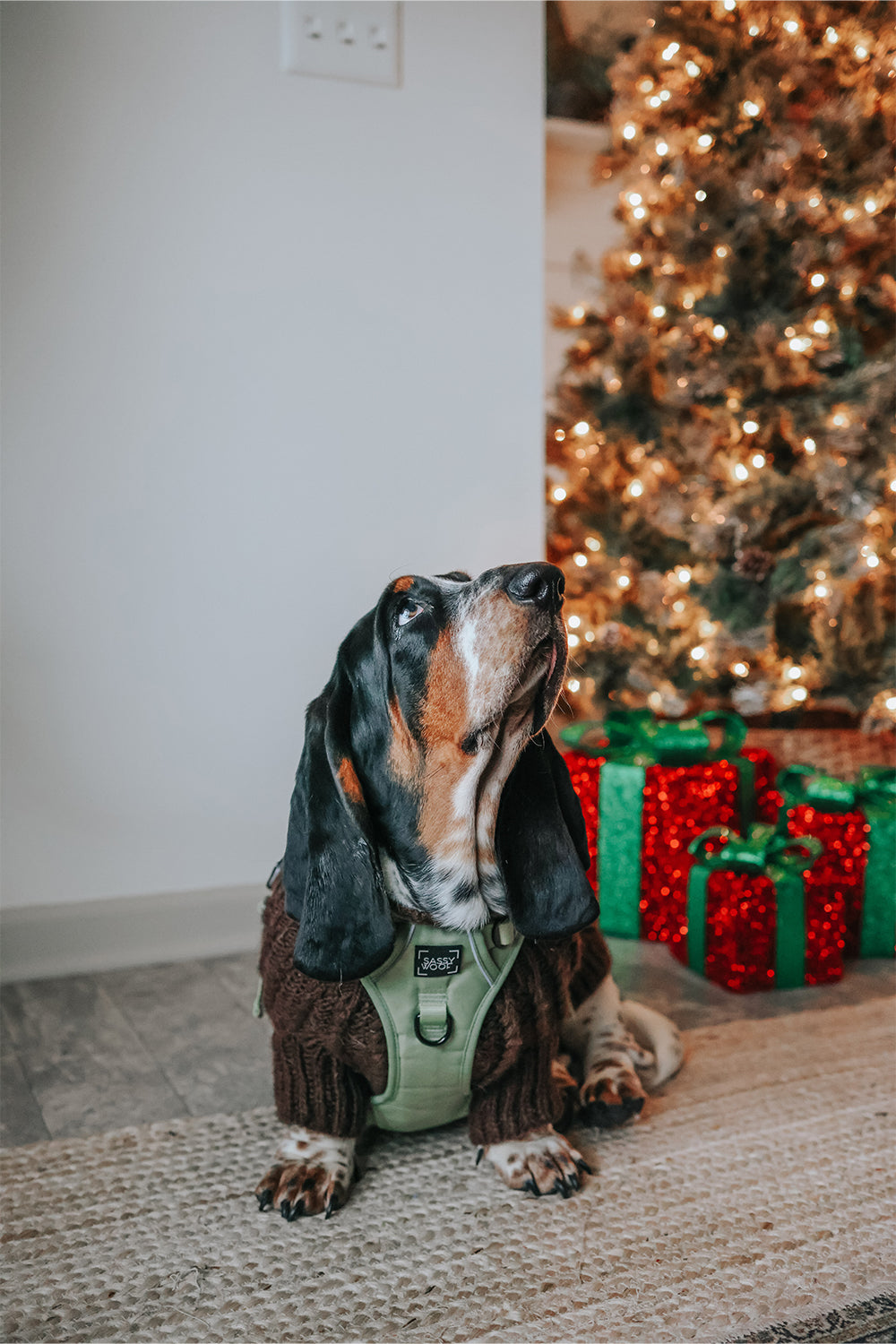 INFLUENCER_CONTENT | @DOLLY_JEAN_THE_BASSET | SIZE L