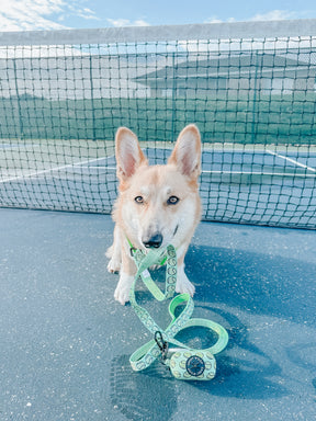 INFLUENCER_CONTENT | @EDDIELEE_CORGI
