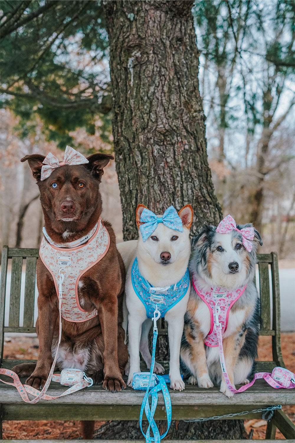 Three dogs wear Sassy Woof Dog Sailor Bows - Cinnamoroll™ as they sit side by side on a bench beneath a tree. Surrounded by fallen leaves, their coordinated accessories create an adorable autumn park scene.