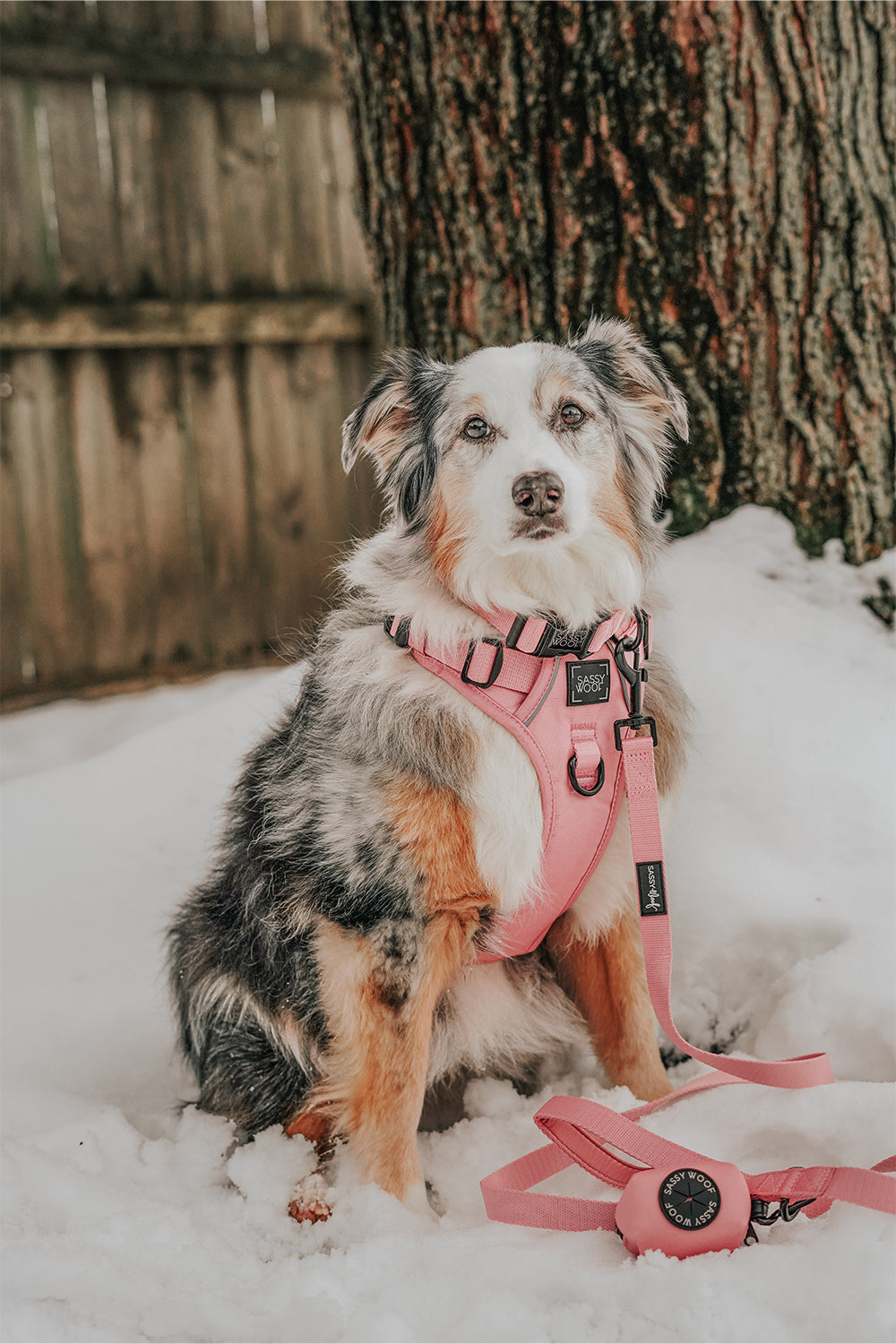 INFLUENCER_CONTENT | @EUREKAPAWS | SIZE L