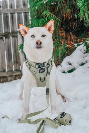 INFLUENCER_CONTENT | @EUREKAPAWS | SIZE L & L