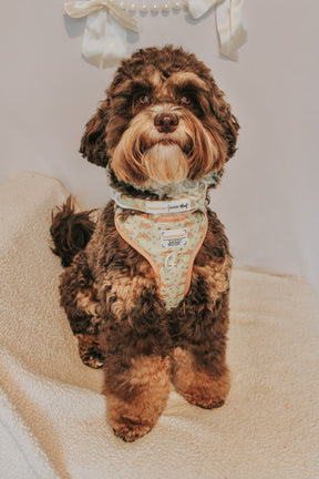 INFLUENCER_CONTENT | @FOUR.SWEETDOODLES | SIZE M