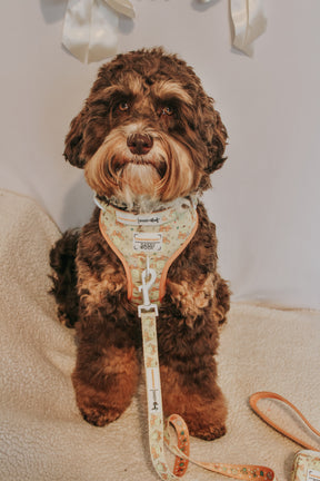 INFLUENCER_CONTENT | @FOUR.SWEETDOODLES | SIZE M