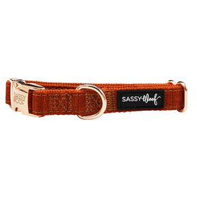 Dog Collar - Foxy