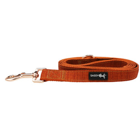 Dog Leash - Foxy