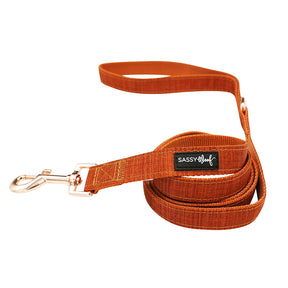 Dog Leash - Foxy