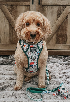 INFLUENCER_CONTENT | @FRANKIE_DOODLE_GIRL | SIZE M 