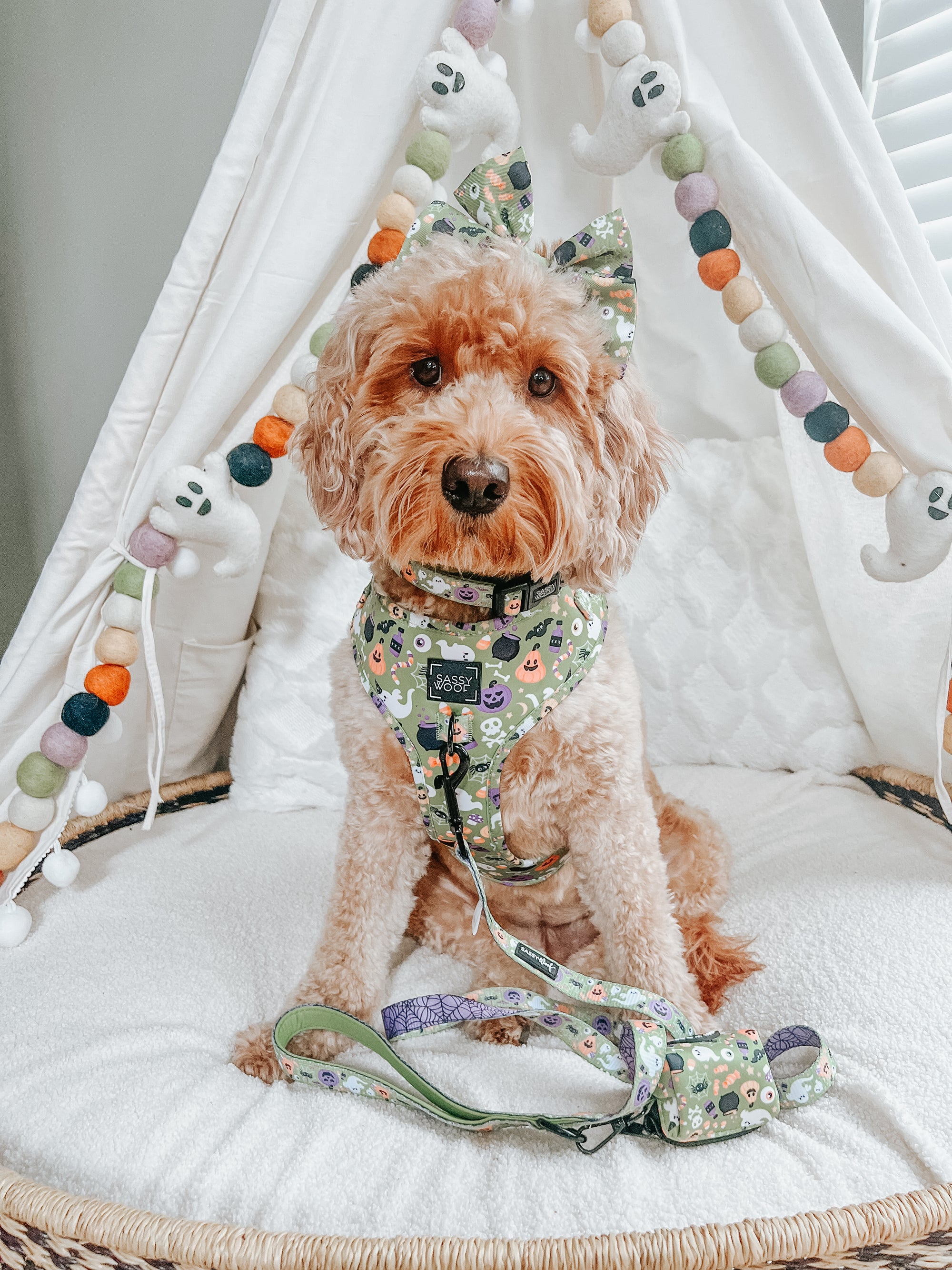 INFLUENCER_CONTENT | @FRANKIE_DOODLE_GIRL