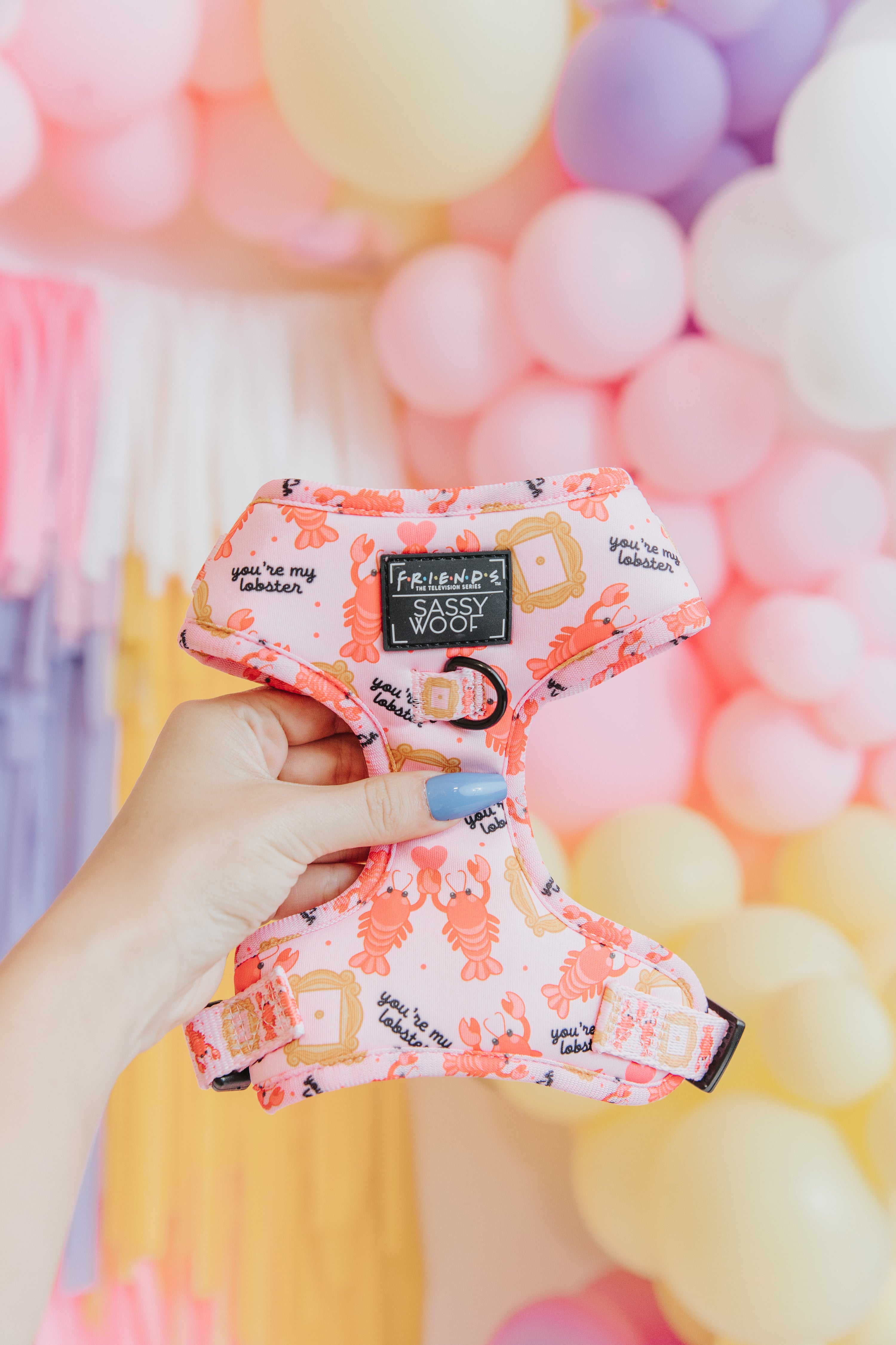 Floral-patterned dog harness held in front of colorful balloons