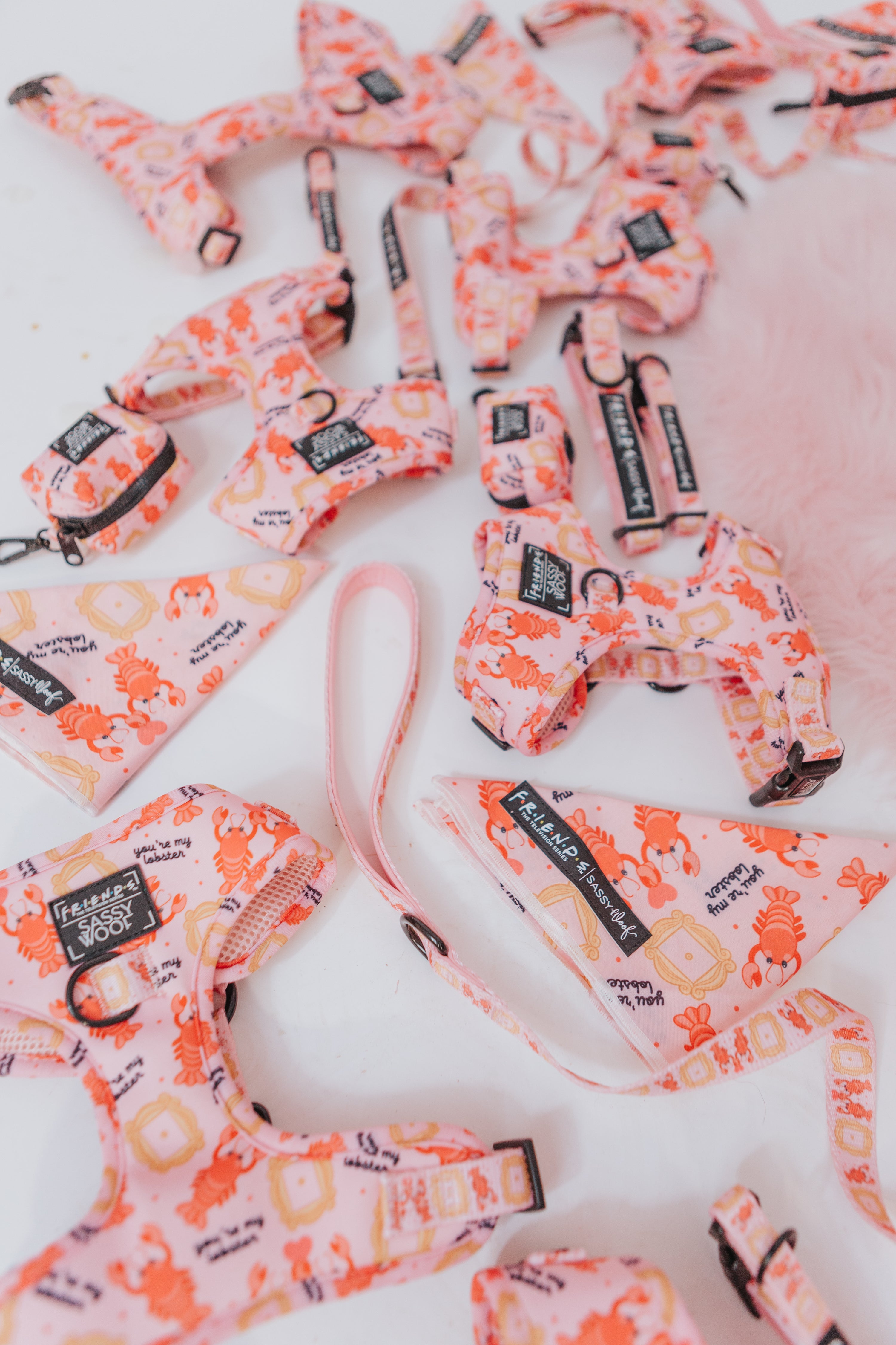 Floral-patterned dog leashes and collars on a white background