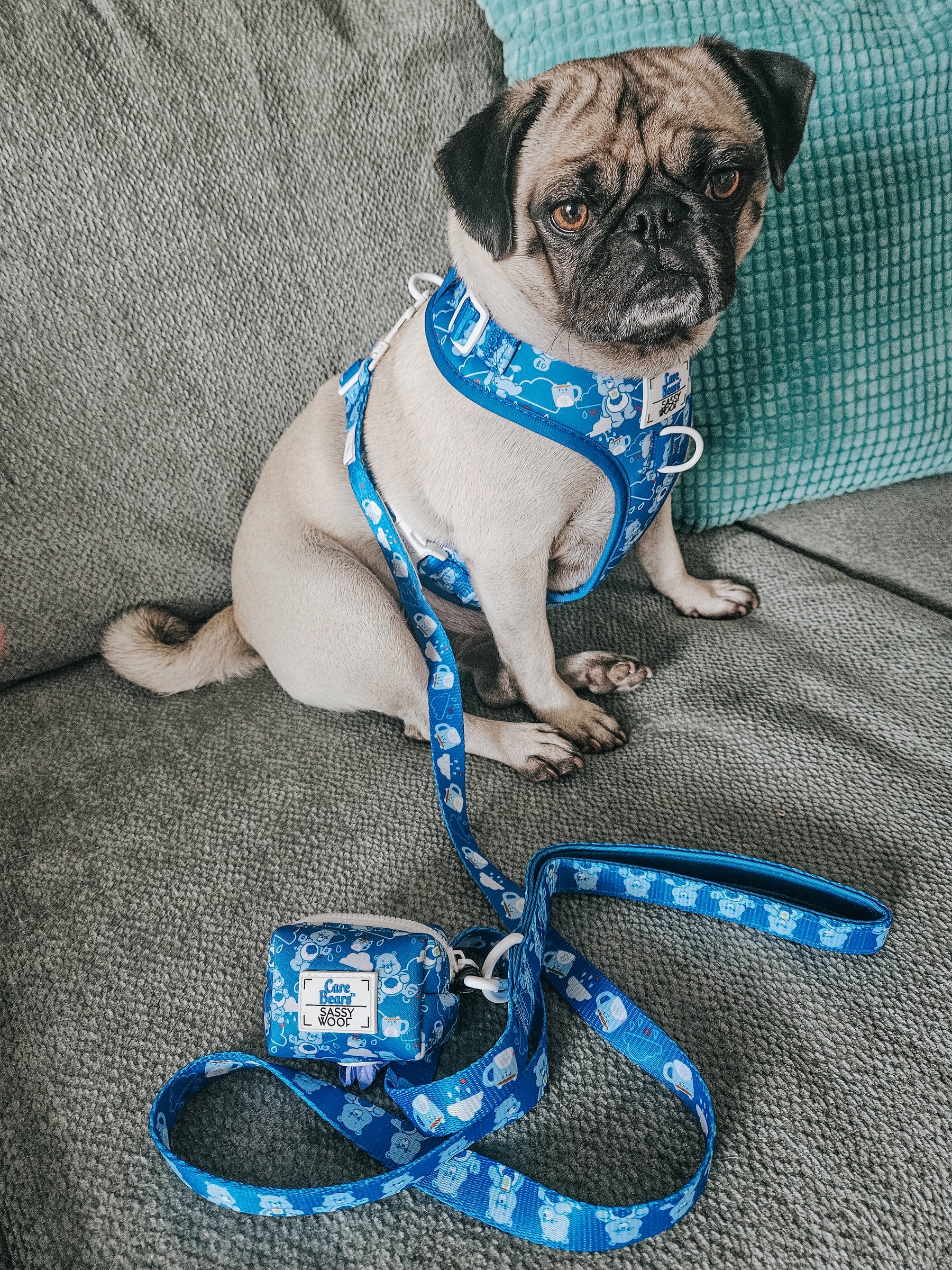 INFLUENCER_CONTENT | @GEMINIPUG