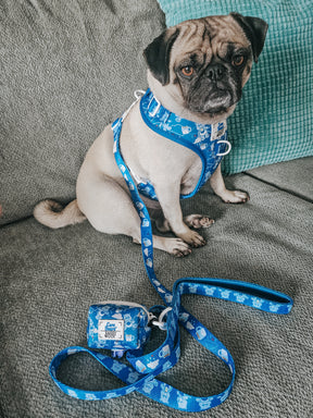 INFLUENCER_CONTENT | @GEMINIPUG