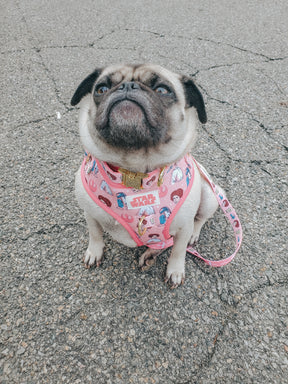 INFLUENCER_CONTENT | @GEMINIPUG | SIZE M