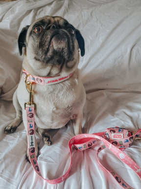 INFLUENCER_CONTENT | @GEMINIPUG | SIZE M