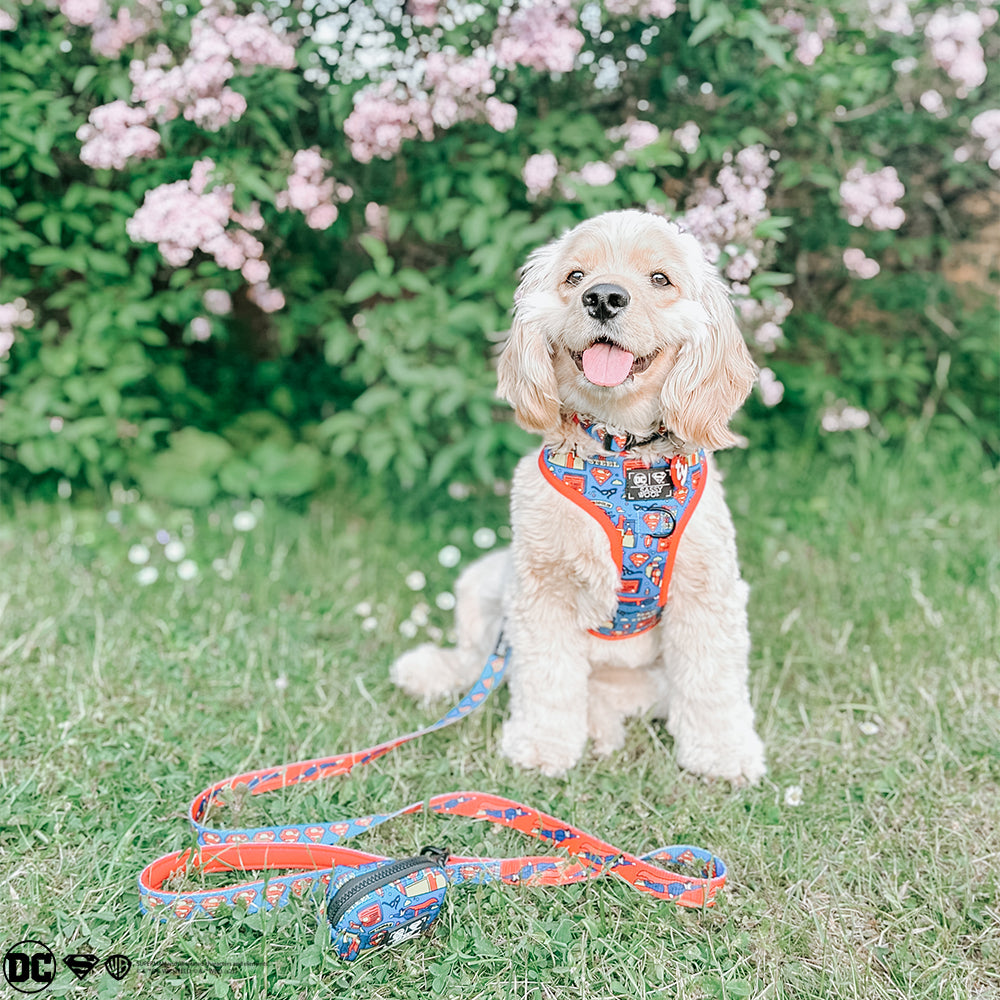 INFLUENCER_CONTENT | @GEORGIE.THE.COCKAPOO | SIZE M & M