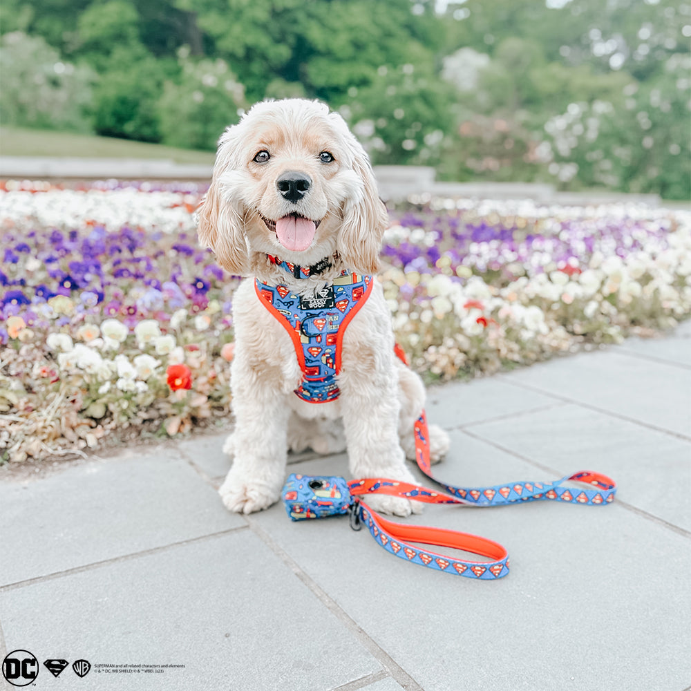 INFLUENCER_CONTENT | @GEORGIE.THE.COCKAPOO | SIZE M & M